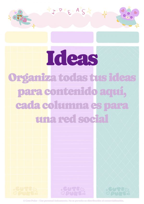 Organizador de redes sociales para creadores de contenido – PDF ilustrado - Imagen 2