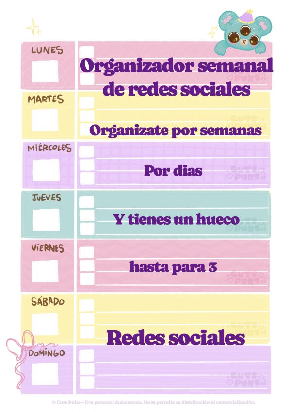 Organizador de redes sociales para creadores de contenido – PDF ilustrado - Imagen 4